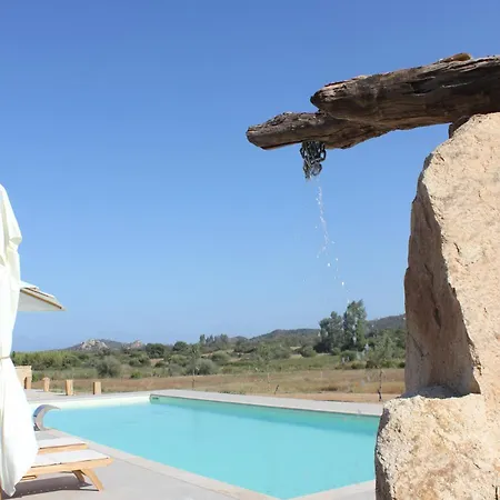 Cantos E Sonos Charming Ardali