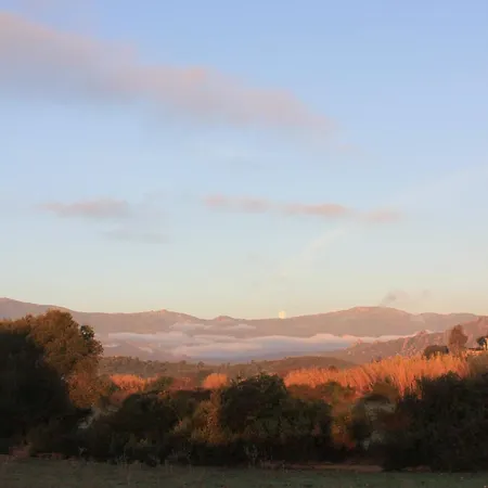 Cantos E Sonos Charming Gasthof