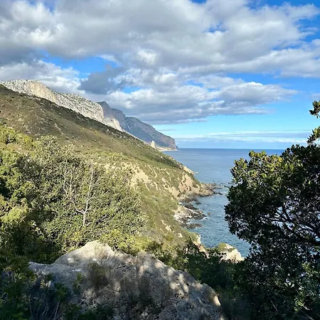 Cantos E Sonos Charming Ardali