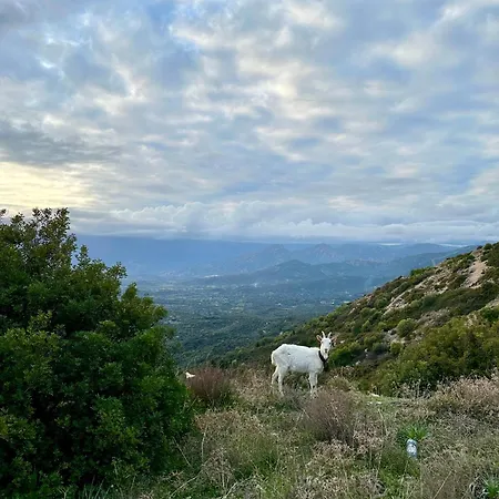 Cantos E Sonos Charming *