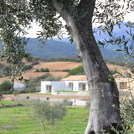 Cantos E Sonos Charming * Ardali